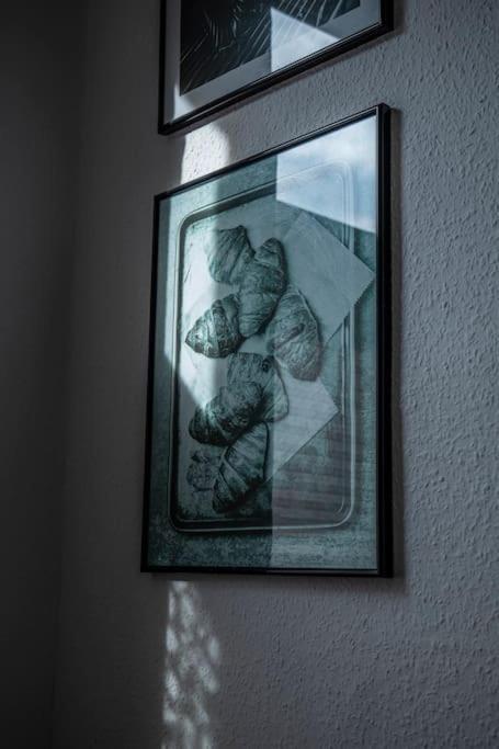 Boho Zentrumsnah Arbeitsplatz Apartment Erfurt